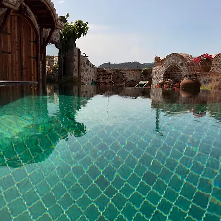 Luxury Stone With Salt Water Pool And Jacuzzi Villa *